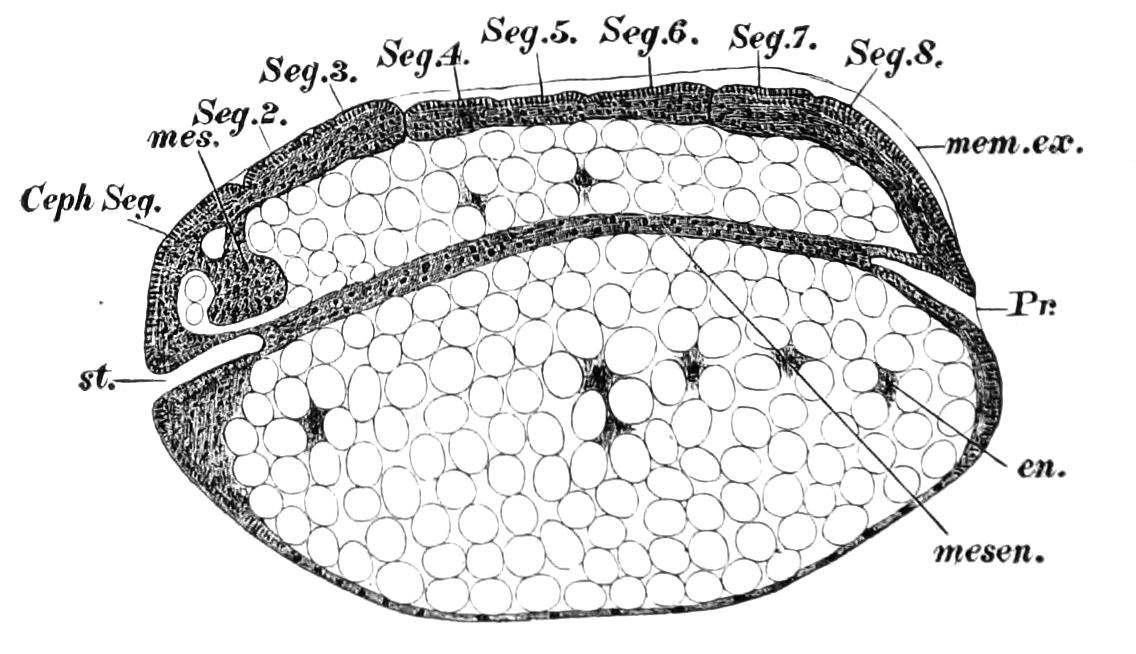 fig39