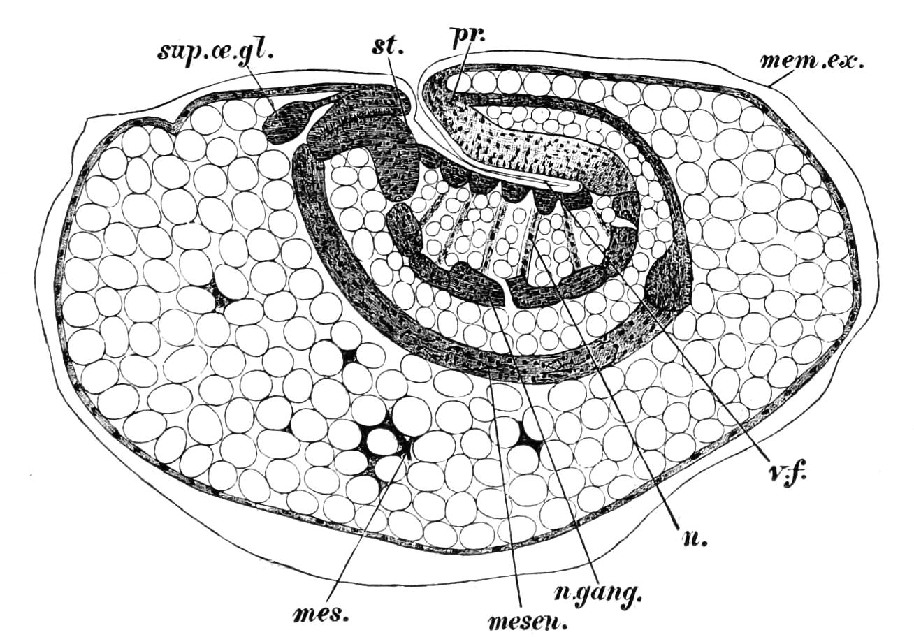 fig41