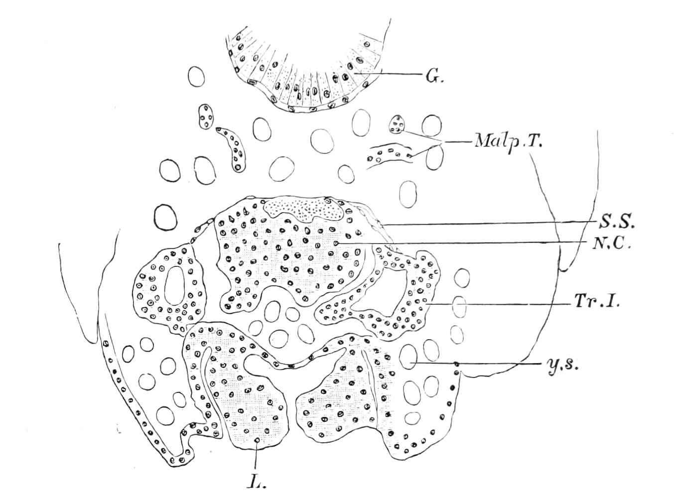 fig42