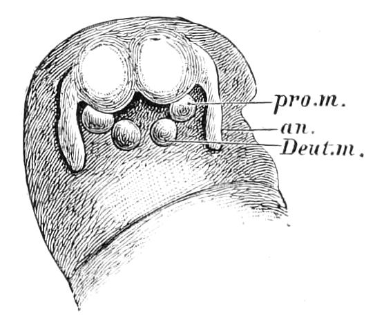 fig43