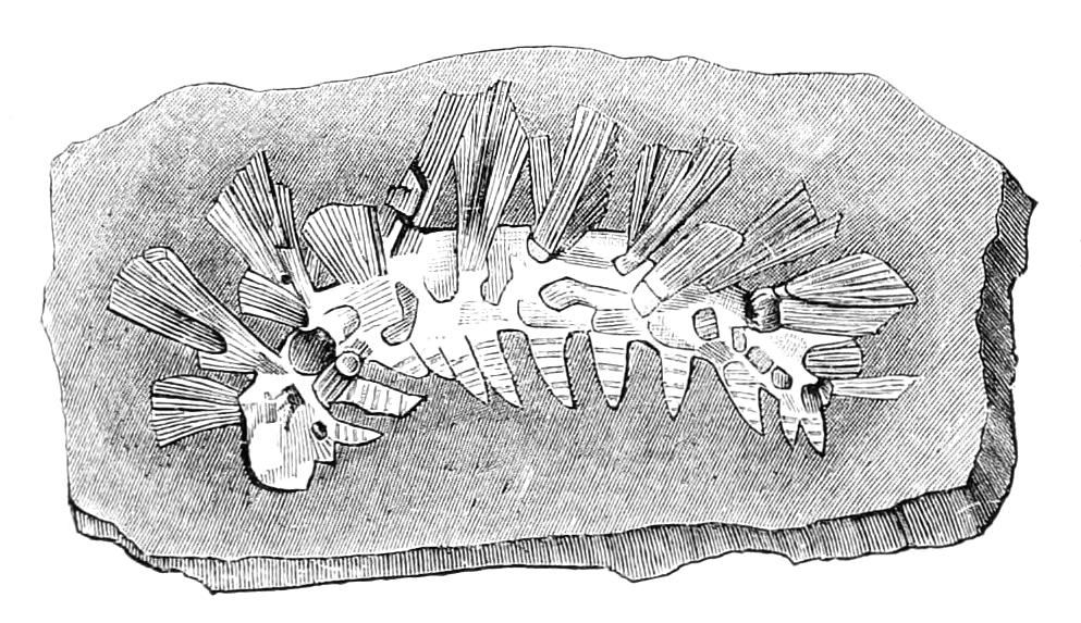 fig45