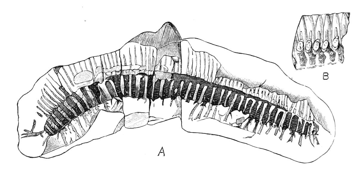 fig46