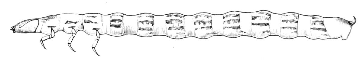 fig48