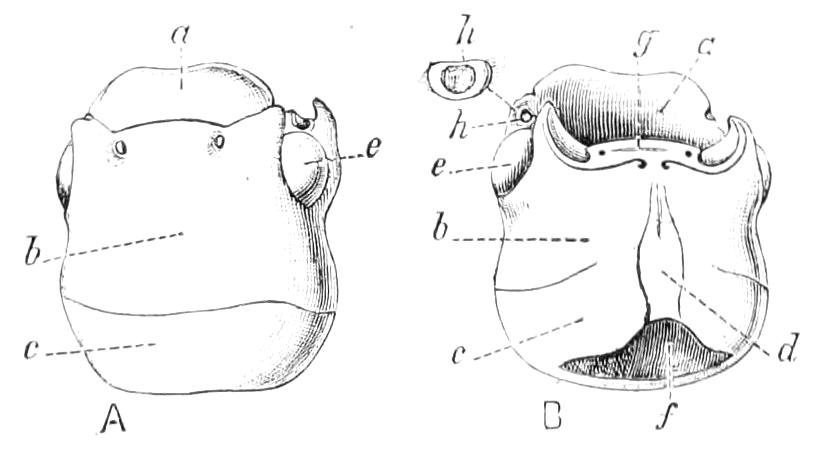 fig49