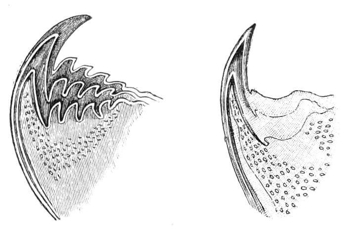 fig4_5
