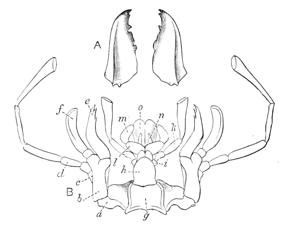 fig51