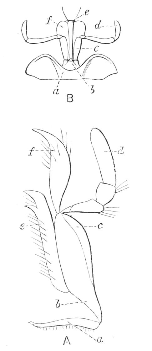 fig52