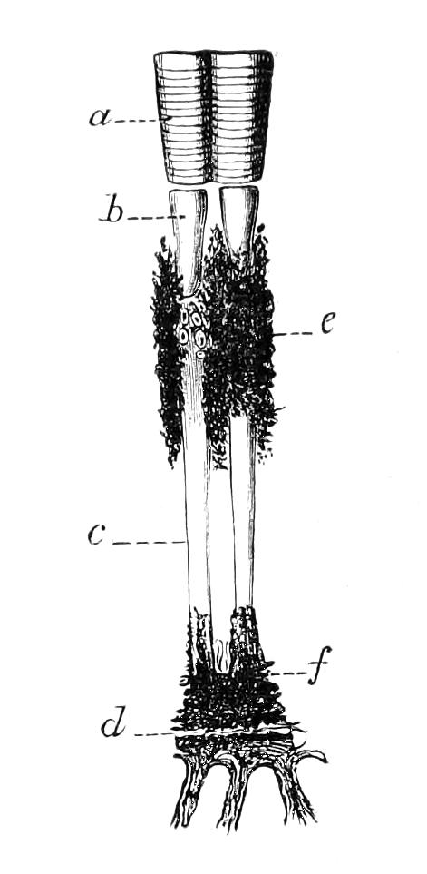 fig53
