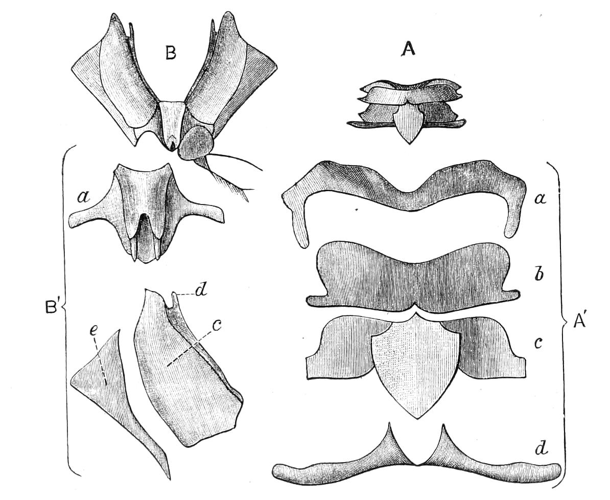 fig55
