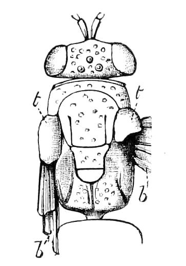 fig56
