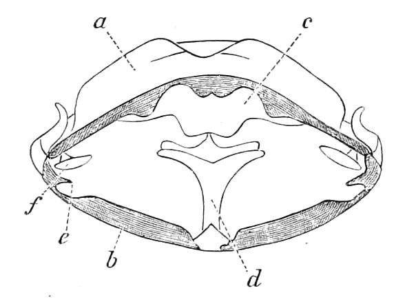 fig57