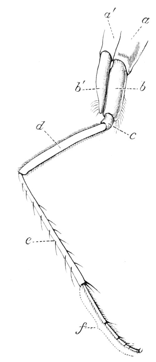 fig58