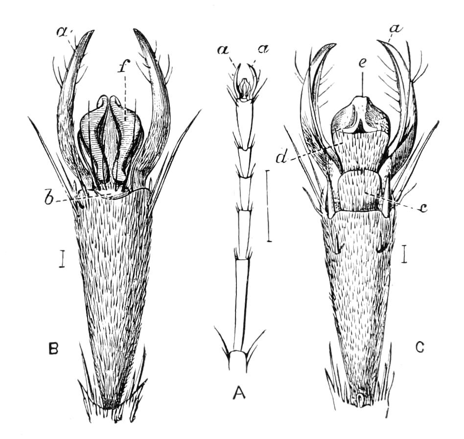 fig59
