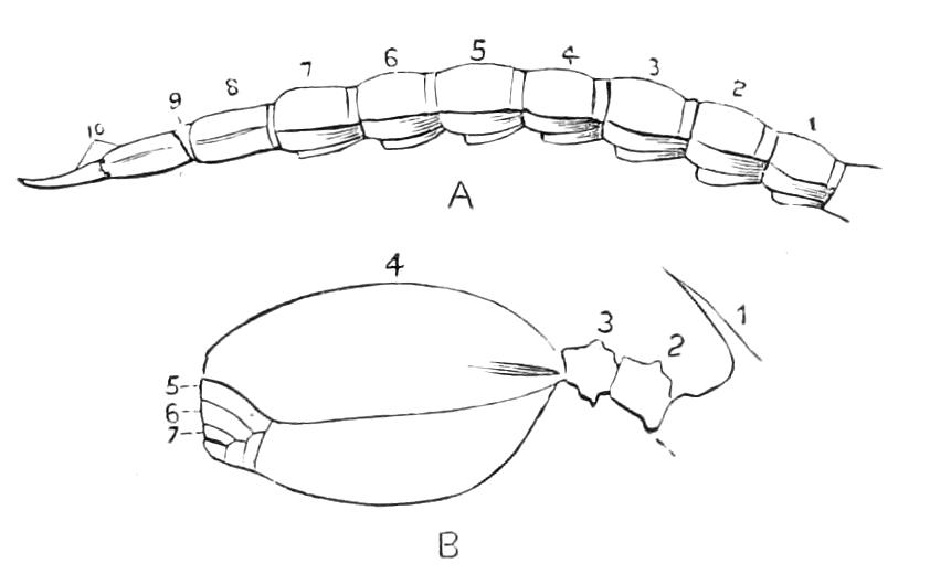 fig60