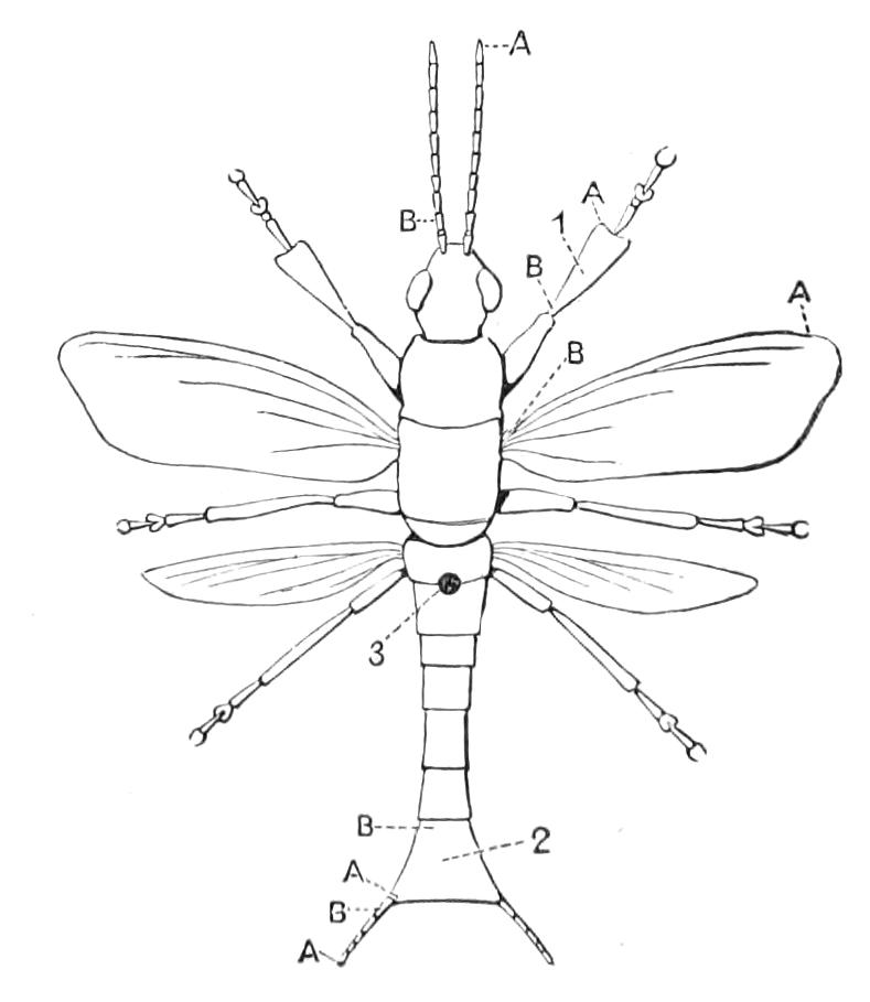 fig62