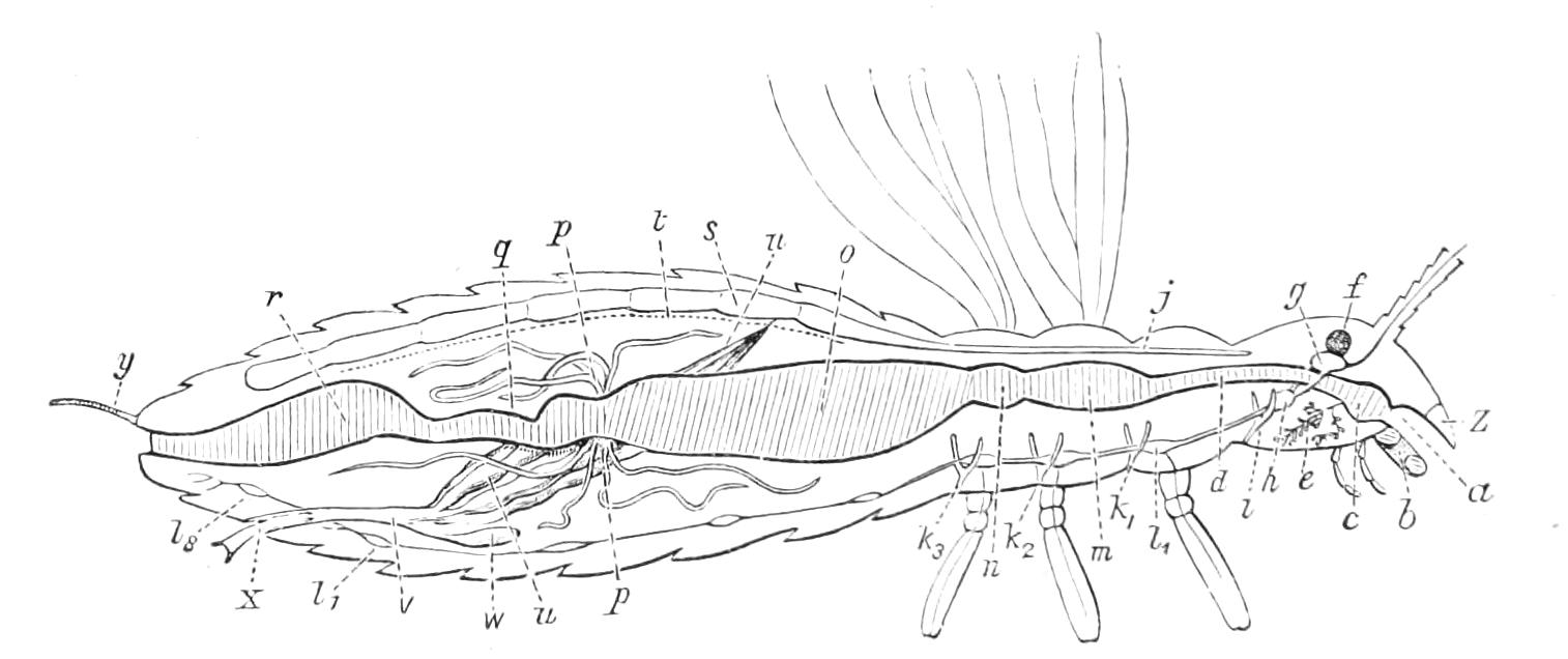 fig63