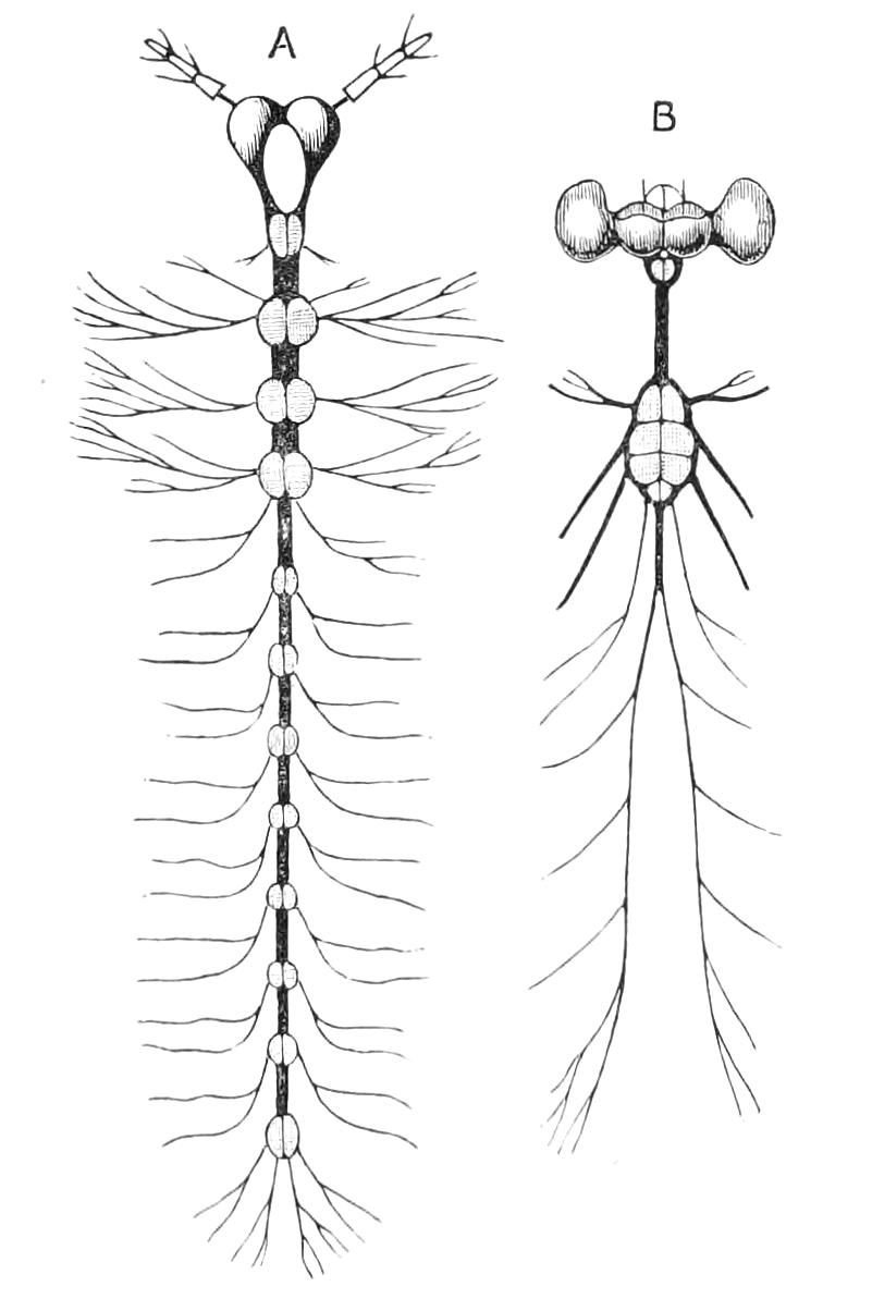 fig64
