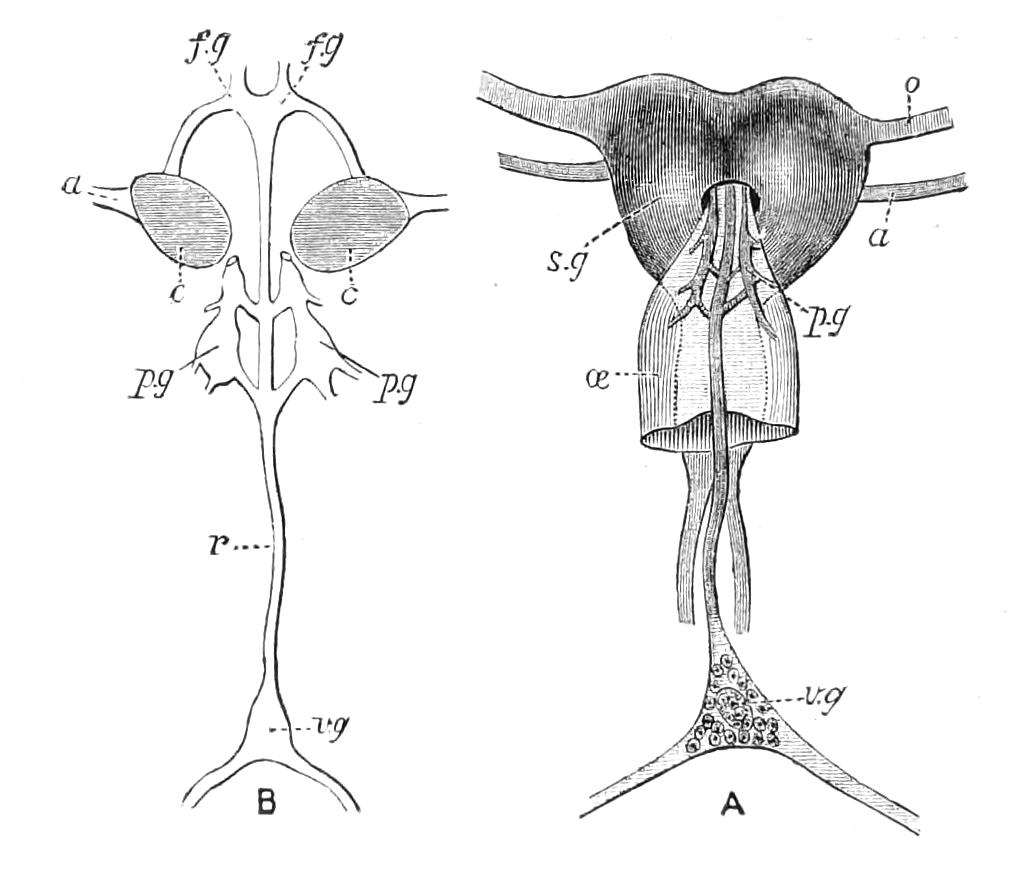 fig66