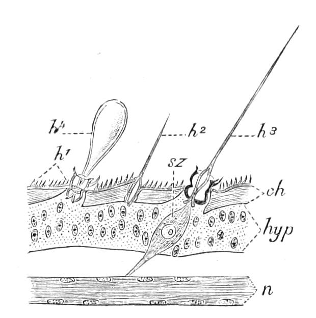 fig67