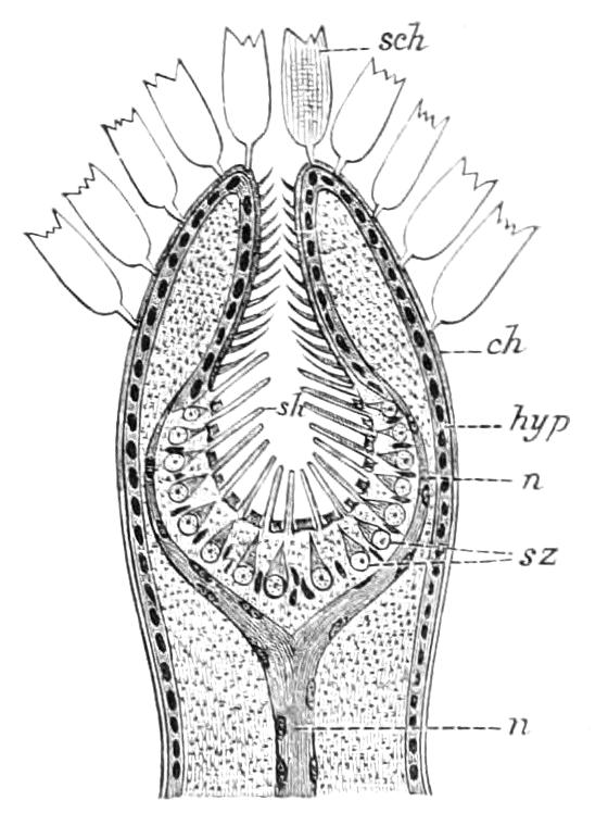 fig68