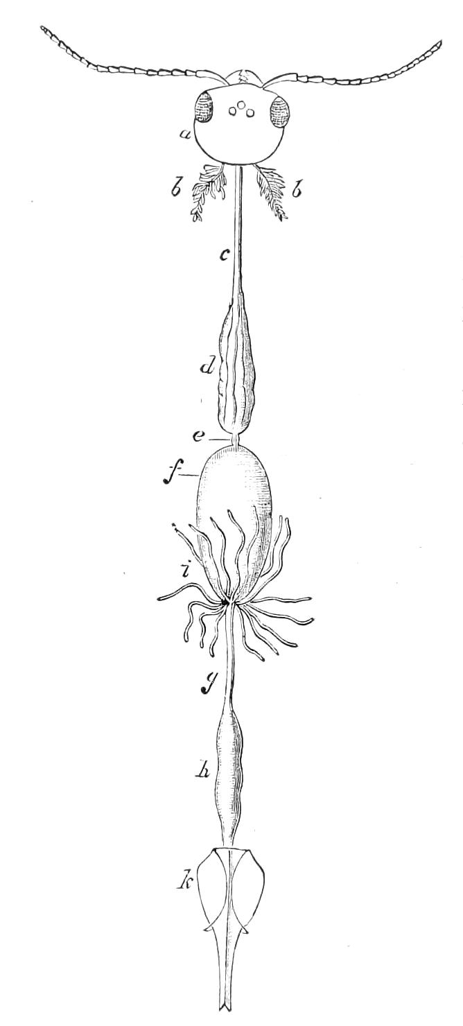 fig69