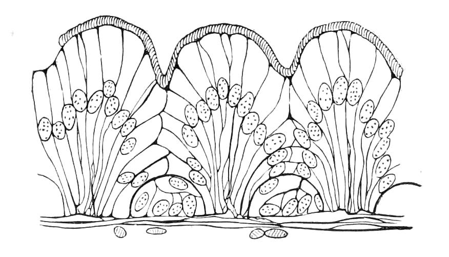 fig70