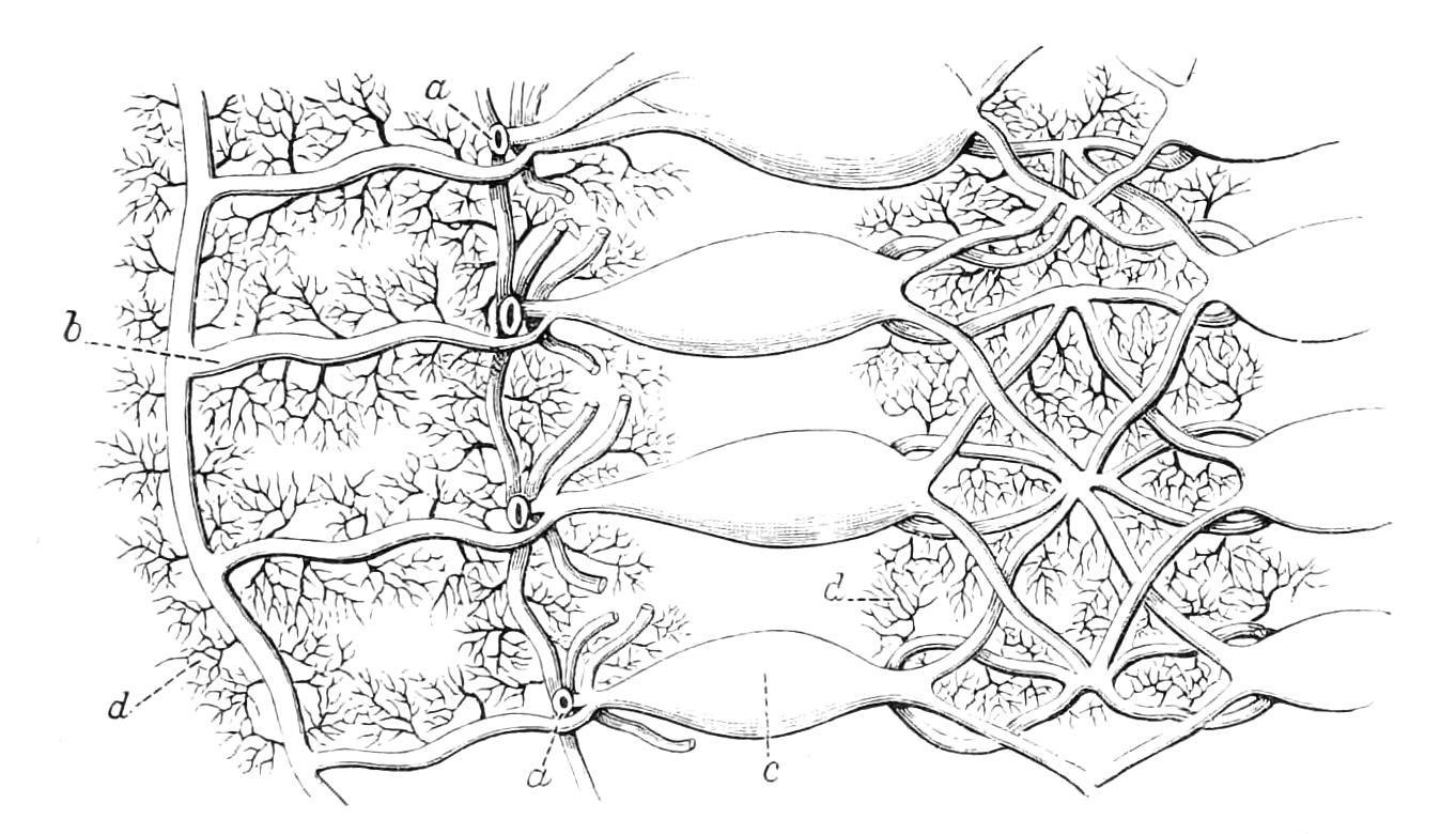 fig71