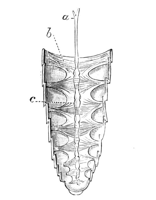 fig72