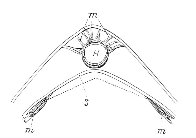 fig73