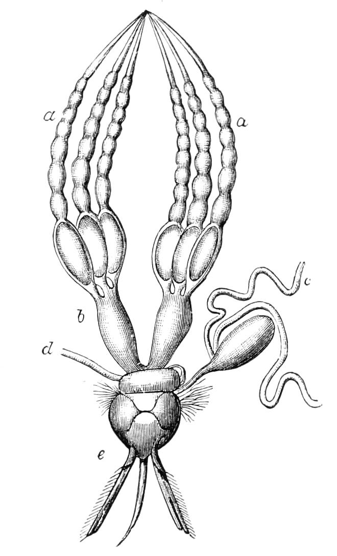 fig74