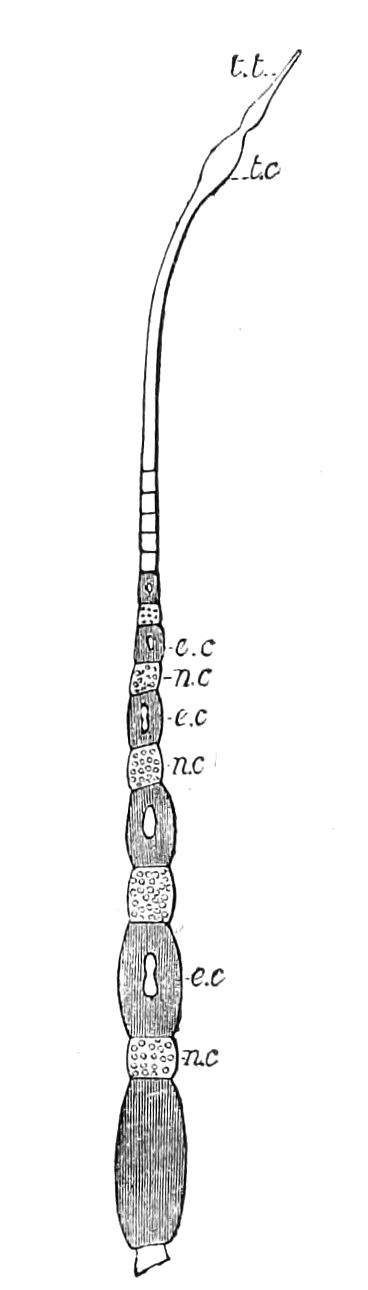 fig75
