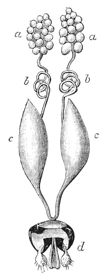 fig76
