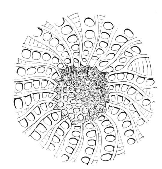 fig77