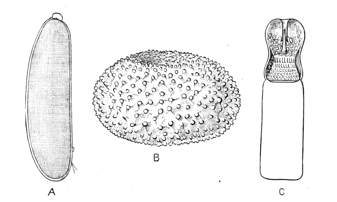 fig78