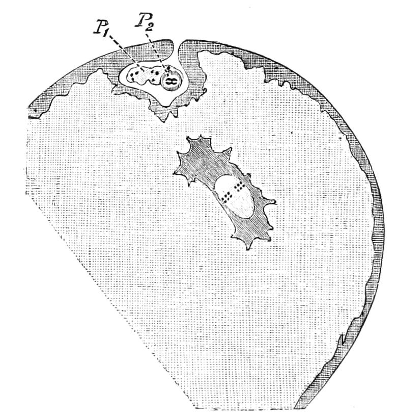 fig79
