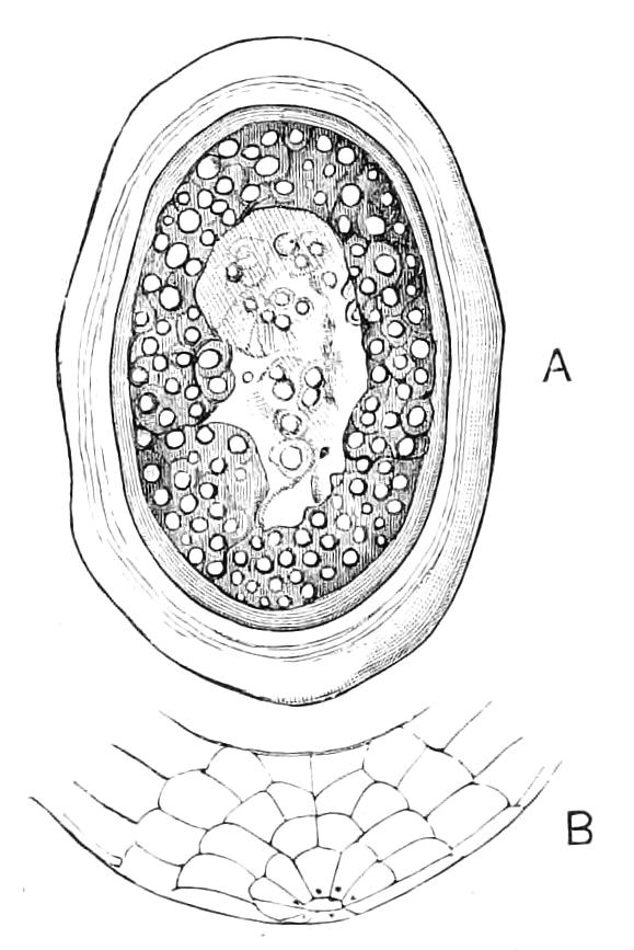 fig83