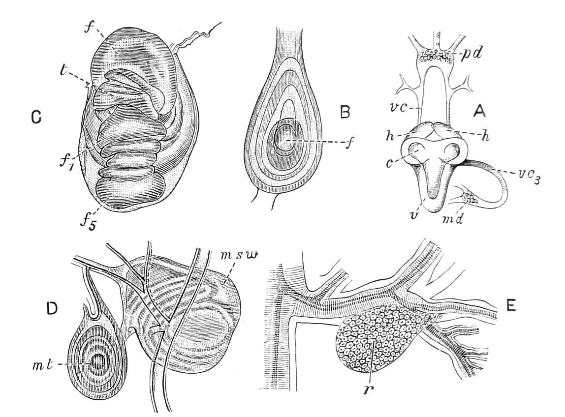 fig87