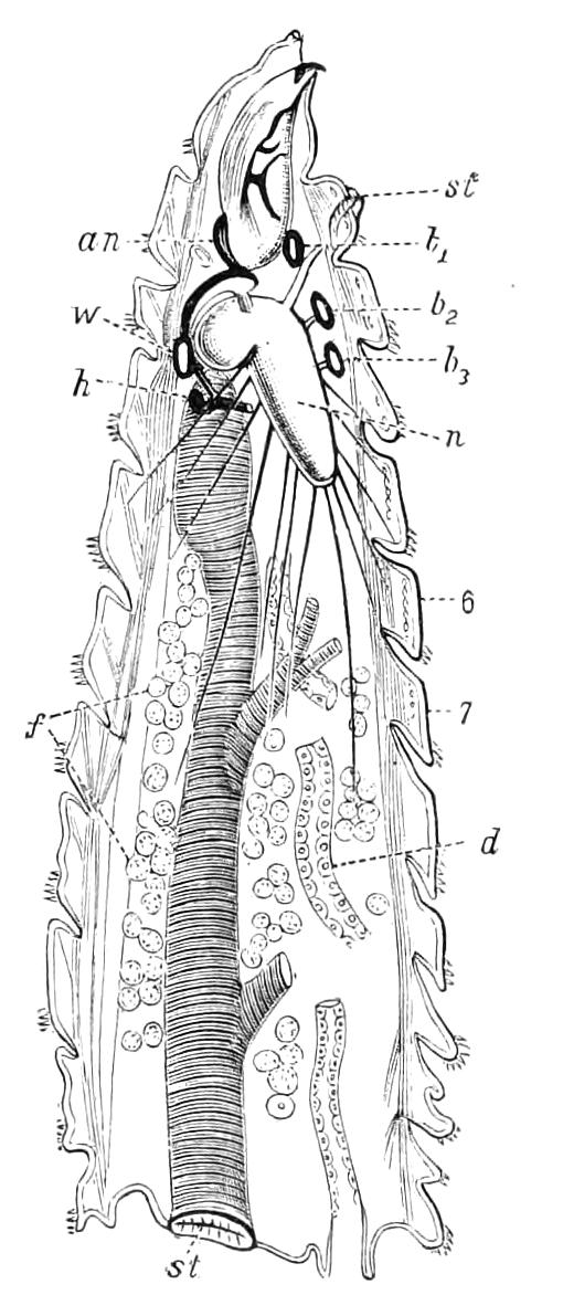 fig88