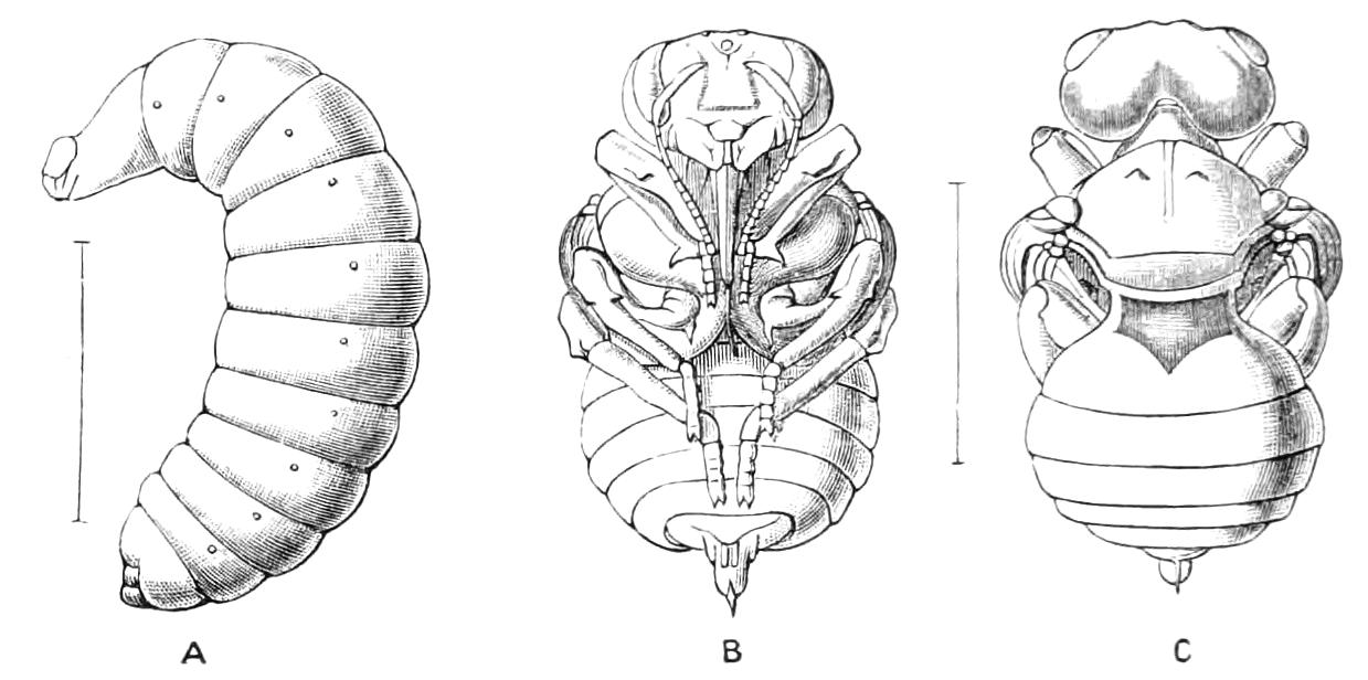 fig89