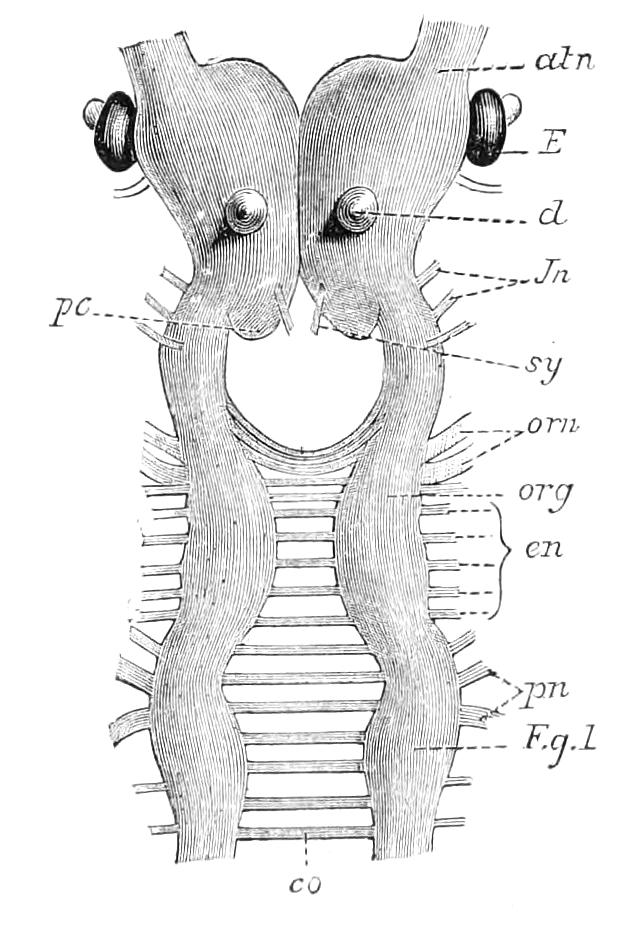 fig9