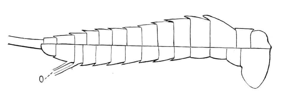 fig90