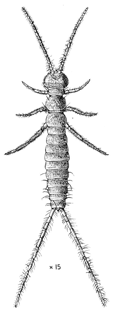 fig91