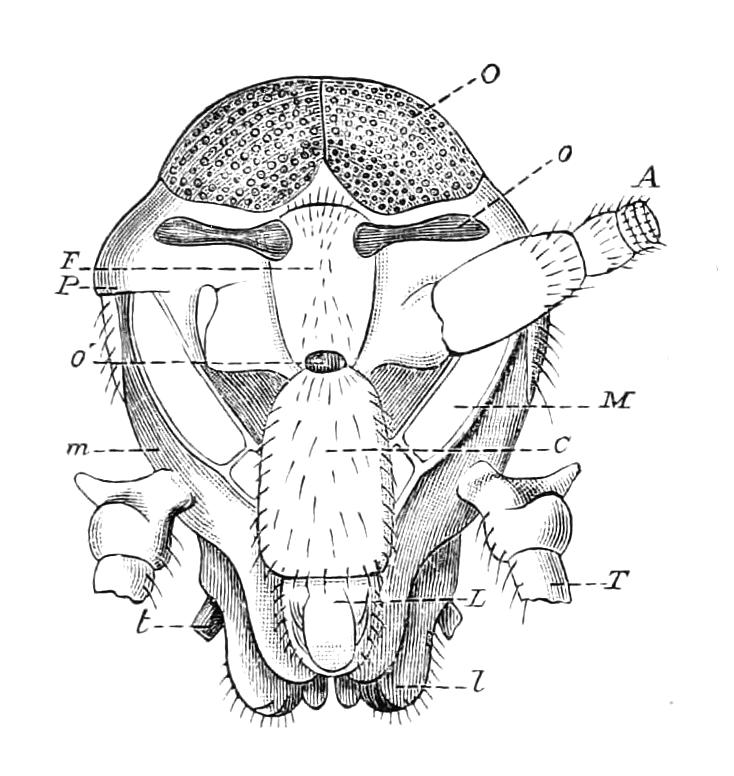 fig92