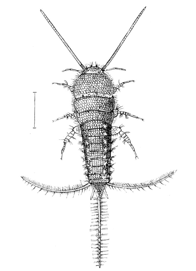 fig93