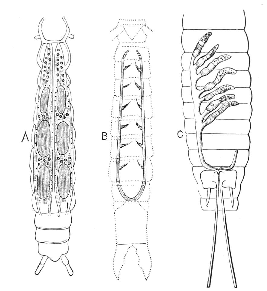 fig94