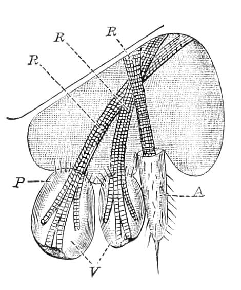 fig95
