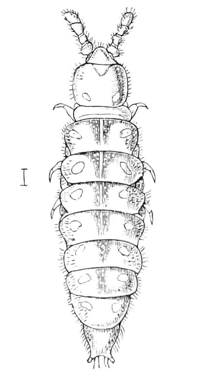fig96