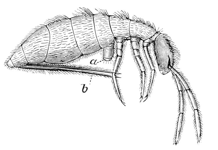 fig97
