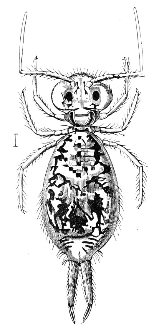 fig98