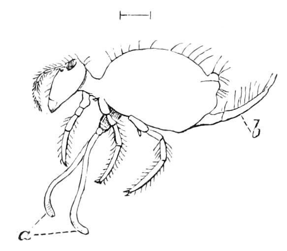 fig99
